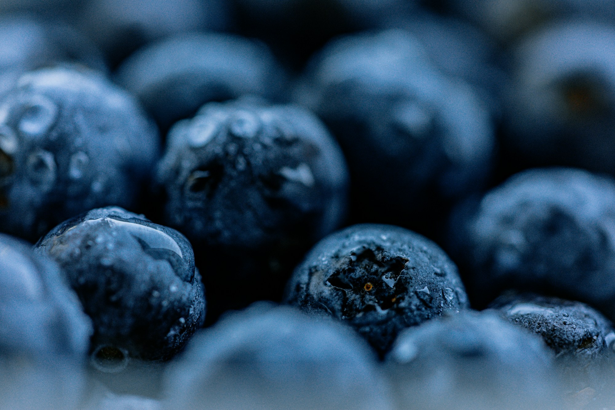 Close up of fresh blueberries with a soft natural bloom